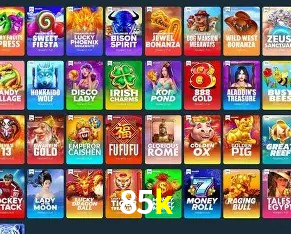 Security Systems 85k